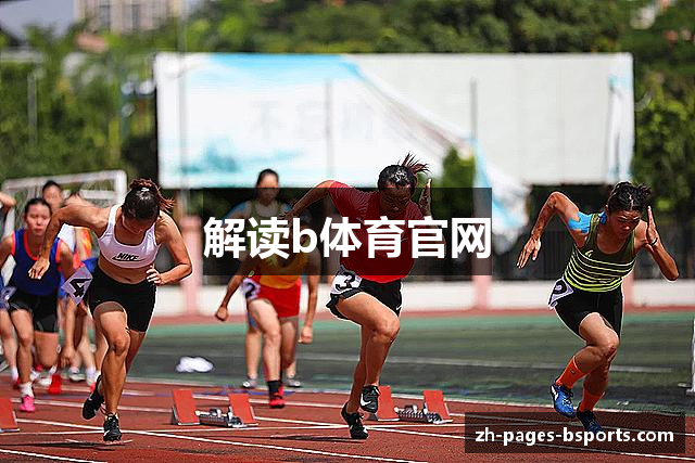 解读b体育官网